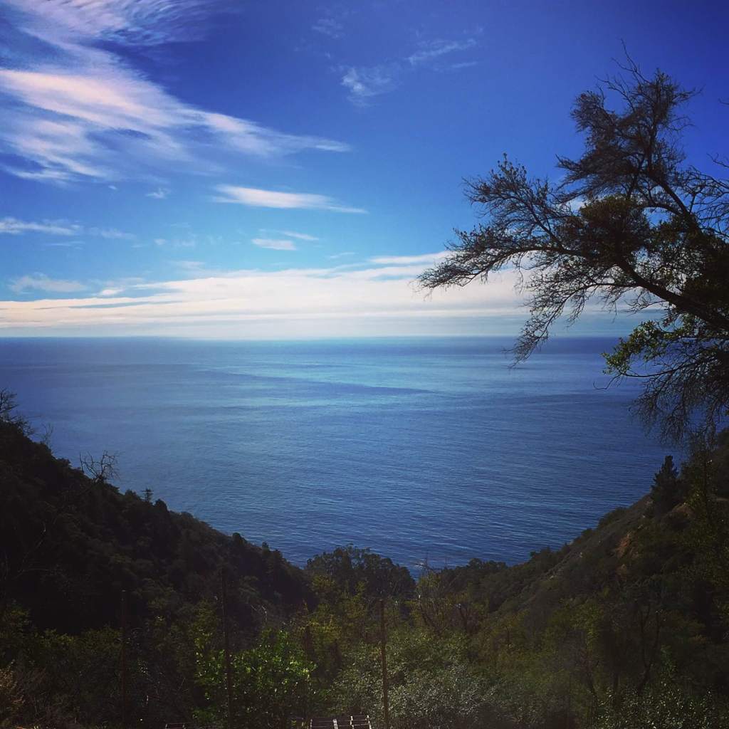 big sur coast shot